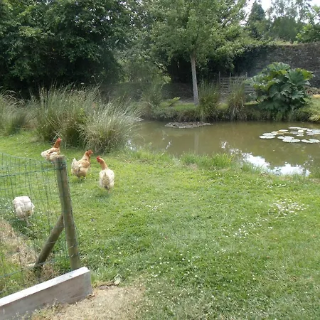 Bed & Breakfast Le Tertre La Feuillie (Manche)